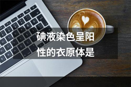 碘液染色呈阳性的衣原体是