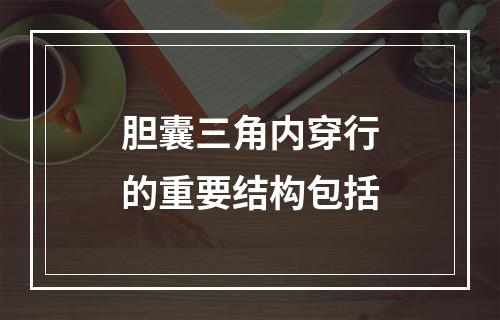 胆囊三角内穿行的重要结构包括