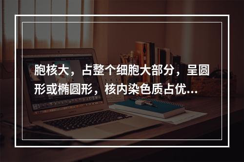 胞核大，占整个细胞大部分，呈圆形或椭圆形，核内染色质占优势，