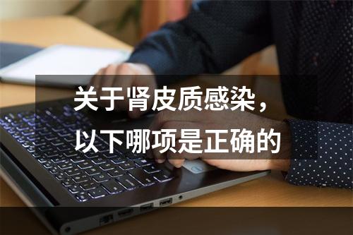 关于肾皮质感染，以下哪项是正确的