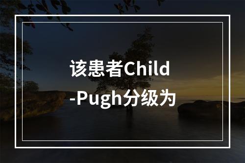 该患者Child-Pugh分级为