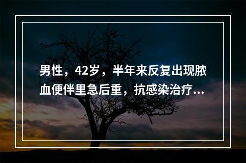 男性，42岁，半年来反复出现脓血便伴里急后重，抗感染治疗无效