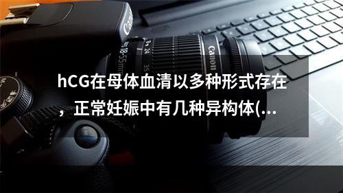 hCG在母体血清以多种形式存在，正常妊娠中有几种异构体()