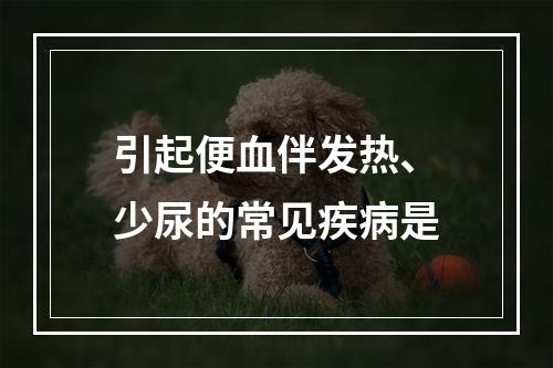 引起便血伴发热、少尿的常见疾病是