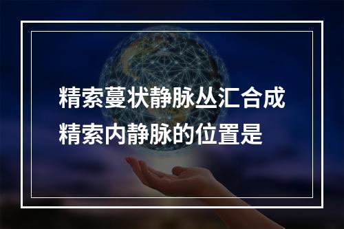 精索蔓状静脉丛汇合成精索内静脉的位置是