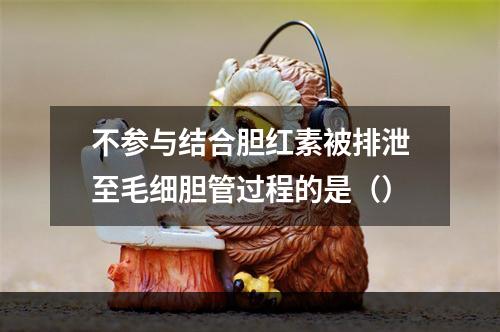 不参与结合胆红素被排泄至毛细胆管过程的是（）