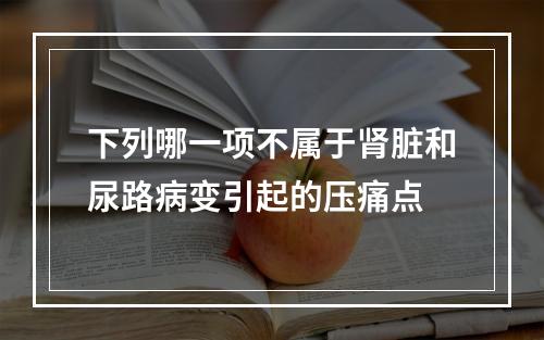 下列哪一项不属于肾脏和尿路病变引起的压痛点