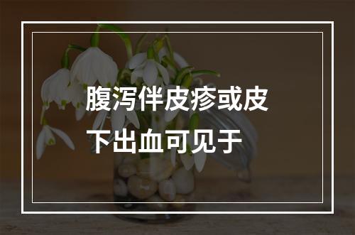 腹泻伴皮疹或皮下出血可见于