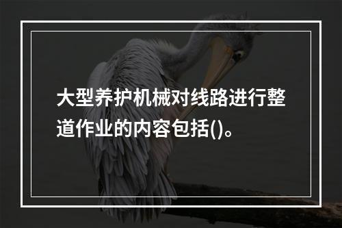 大型养护机械对线路进行整道作业的内容包括()。