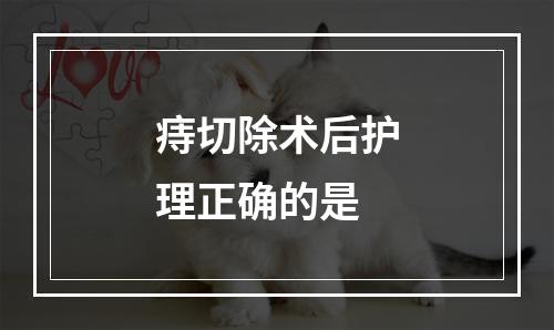 痔切除术后护理正确的是