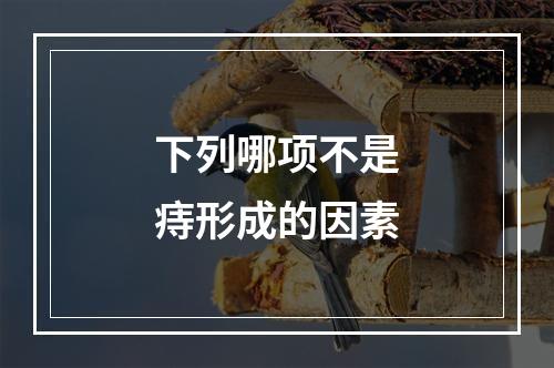 下列哪项不是痔形成的因素