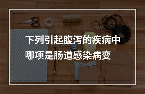 下列引起腹泻的疾病中哪项是肠道感染病变