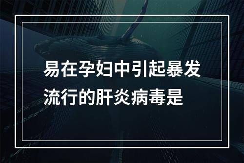 易在孕妇中引起暴发流行的肝炎病毒是