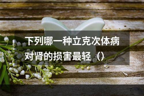 下列哪一种立克次体病对肾的损害最轻（）