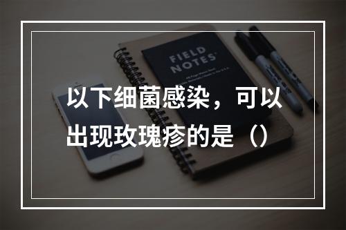 以下细菌感染，可以出现玫瑰疹的是（）