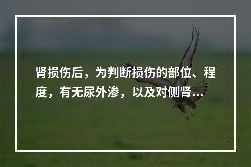 肾损伤后，为判断损伤的部位、程度，有无尿外渗，以及对侧肾情况