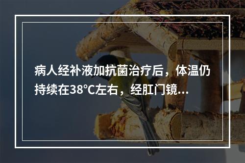 病人经补液加抗菌治疗后，体温仍持续在38℃左右，经肛门镜下细