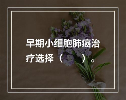 早期小细胞肺癌治疗选择（　　）。