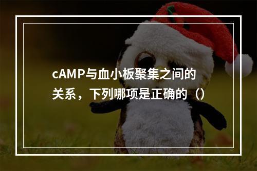 cAMP与血小板聚集之间的关系，下列哪项是正确的（）