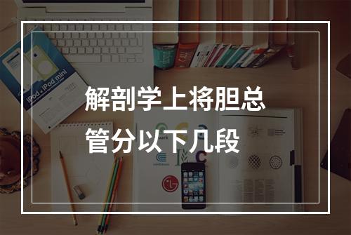 解剖学上将胆总管分以下几段