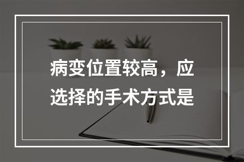 病变位置较高，应选择的手术方式是