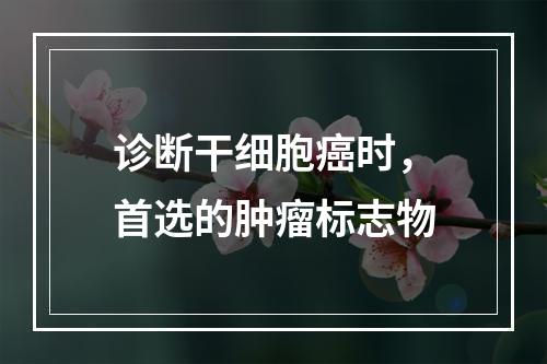 诊断干细胞癌时，首选的肿瘤标志物