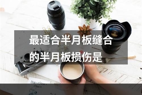 最适合半月板缝合的半月板损伤是