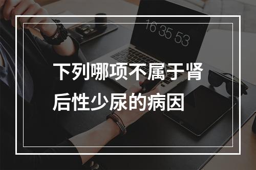 下列哪项不属于肾后性少尿的病因