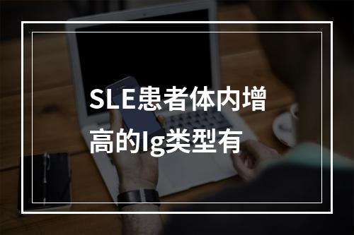 SLE患者体内增高的Ig类型有