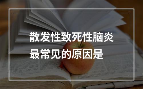 散发性致死性脑炎最常见的原因是