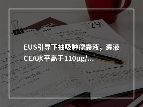 EUS引导下抽吸肿瘤囊液，囊液CEA水平高于110μg/L。