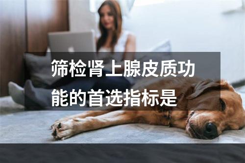 筛检肾上腺皮质功能的首选指标是