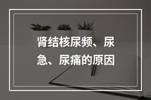 肾结核尿频、尿急、尿痛的原因