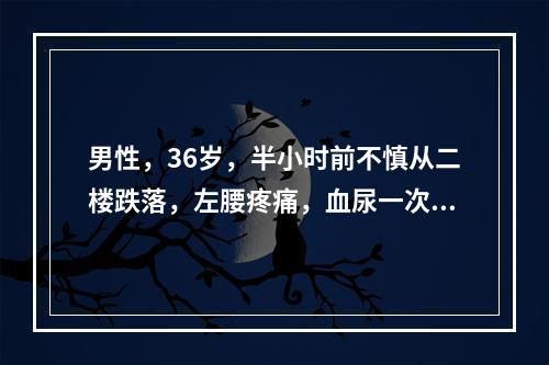 男性，36岁，半小时前不慎从二楼跌落，左腰疼痛，血尿一次，测