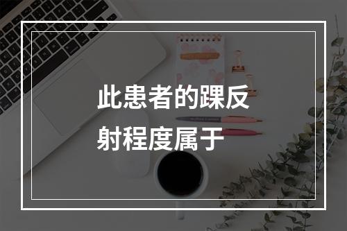 此患者的踝反射程度属于