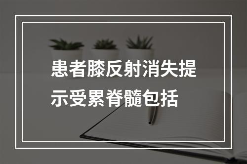 患者膝反射消失提示受累脊髓包括