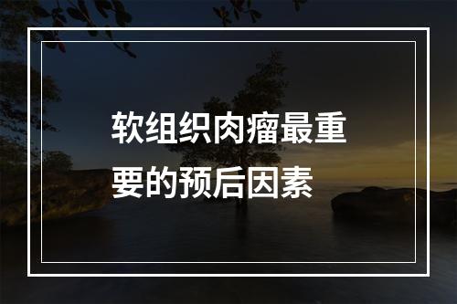 软组织肉瘤最重要的预后因素