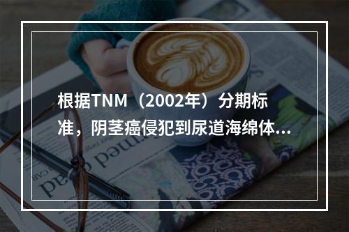 根据TNM（2002年）分期标准，阴茎癌侵犯到尿道海绵体，其