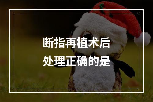 断指再植术后处理正确的是