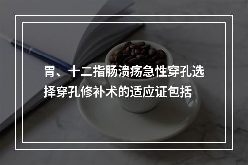 胃、十二指肠溃疡急性穿孔选择穿孔修补术的适应证包括