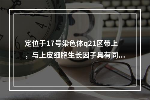 定位于17号染色体q21区带上，与上皮细胞生长因子具有同源性