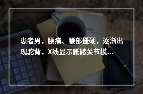 患者男，腰痛、腰部僵硬，逐渐出现驼背，X线显示骶髂关节模糊，