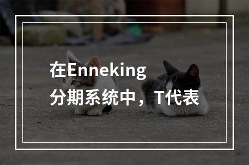 在Enneking分期系统中，T代表