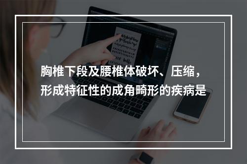 胸椎下段及腰椎体破坏、压缩，形成特征性的成角畸形的疾病是