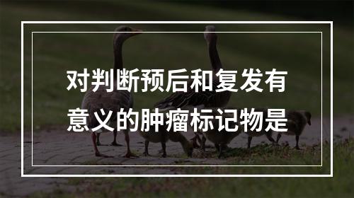 对判断预后和复发有意义的肿瘤标记物是