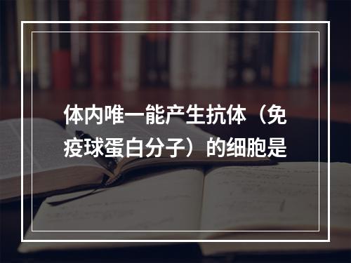 体内唯一能产生抗体（免疫球蛋白分子）的细胞是