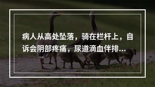 病人从高处坠落，骑在栏杆上，自诉会阴部疼痛，尿道滴血伴排尿困