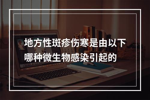 地方性斑疹伤寒是由以下哪种微生物感染引起的