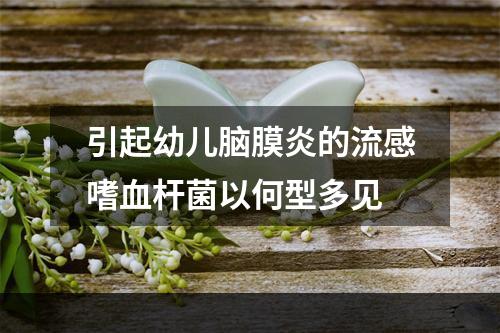 引起幼儿脑膜炎的流感嗜血杆菌以何型多见