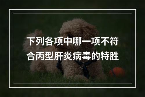 下列各项中哪一项不符合丙型肝炎病毒的特胜